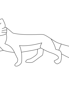 Renard 01 - 10doigts.fr