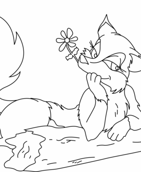 Renard 02 - 10doigts.fr