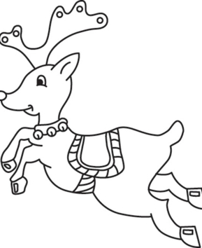 Renne 05 - 10doigts.fr