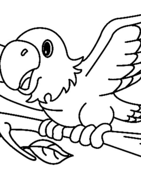 Perroquet 02 - 10doigts.fr