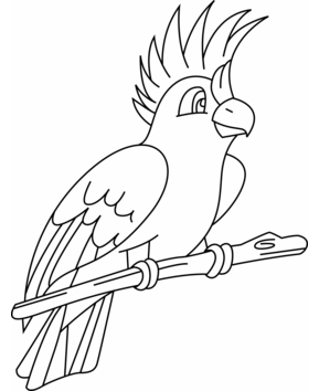 Perruche 002 - 10doigts.fr