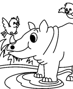 Rhinocéros01 - 10doigts.fr