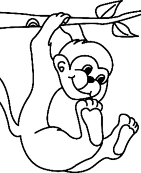 Singe04 - 10doigts.fr