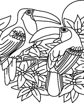 Toucan02 - 10doigts.fr