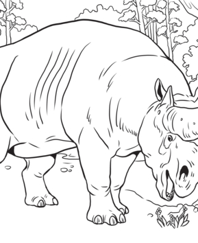 Animaux-savane10 - 10doigts.fr