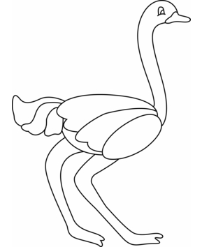 Autruche 04 - 10doigts.fr