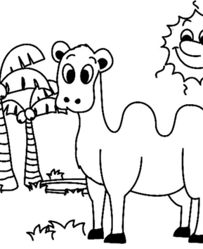 Dromadaire 01 - 10doigts.fr