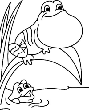 Grenouille05 - 10doigts.fr