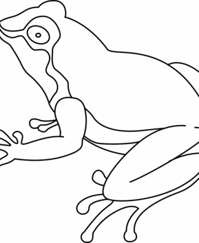 Grenouille07 - 10doigts.fr