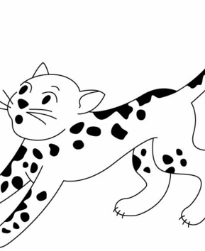 Léopard 01 - 10doigts.fr