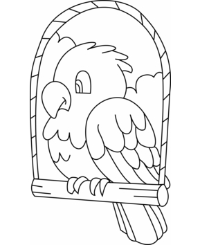 Perruche03 - 10doigts.fr