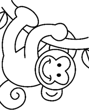 Singe 08 - 10doigts.fr