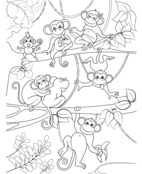 Singe 12 - 10doigts.fr