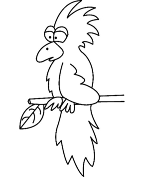 Toucan 004 - 10doigts.fr