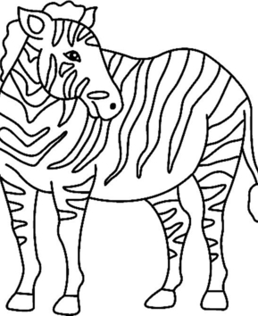 Zèbre 03 - 10doigts.fr