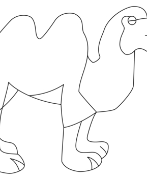 Chameau 01 - 10doigts.fr