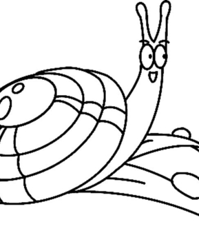 Escargot 01 - 10doigts.fr