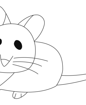 Souris 14 - 10doigts.fr