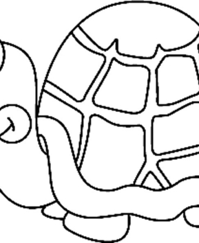 Tortue 03 - 10doigts.fr