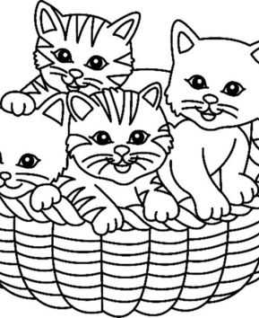 Chat 07 - 10doigts.fr