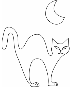 Chat 31 - 10doigts.fr