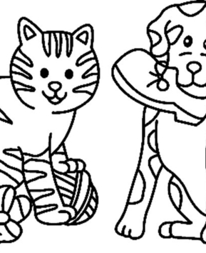 Chat et chien 02 - 10doigts.fr