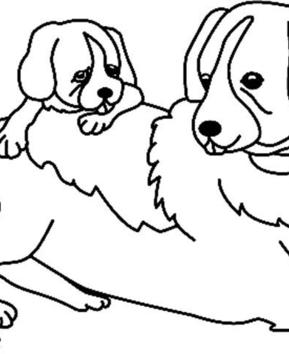 Chien 07 - 10doigts.fr