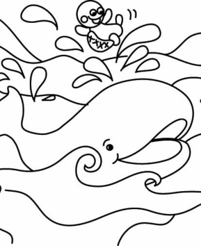 Baleine 04 - 10doigts.fr