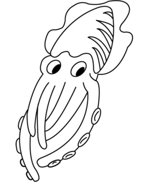 Pieuvre 03 - 10doigts.fr