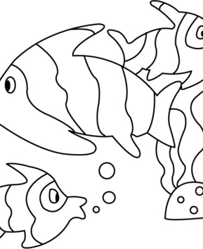 Poisson 08 - 10doigts.fr