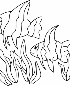 Poisson 12 - 10doigts.fr