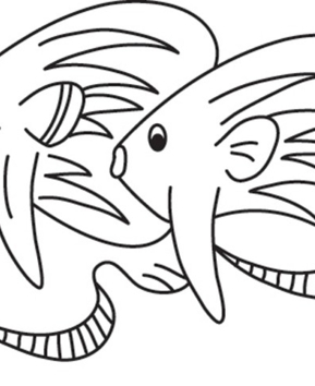 Poisson 25 - 10doigts.fr