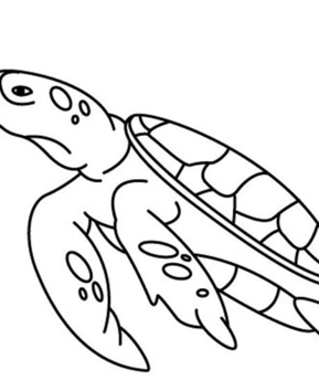 Tortue 01 - 10doigts.fr