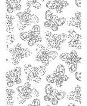 Animaux-volants18 - 10doigts.fr