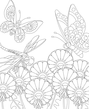 Animaux-volants19 - 10doigts.fr