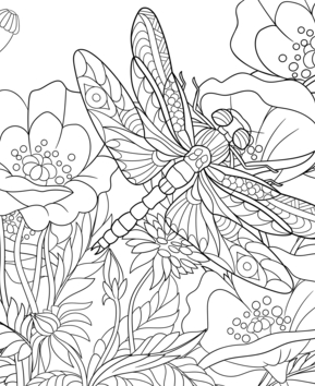 Animaux-volants2 - 10doigts.fr