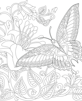 Animaux-volants20 - 10doigts.fr