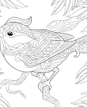 Animaux-volants21 - 10doigts.fr