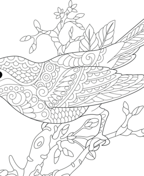 Animaux-volants22 - 10doigts.fr