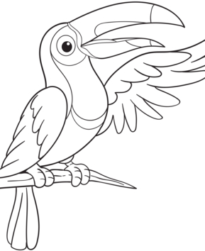 Animaux-volants24 - 10doigts.fr