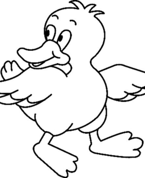 Canard 07 - 10doigts.fr