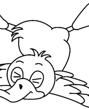 Canard 08 - 10doigts.fr