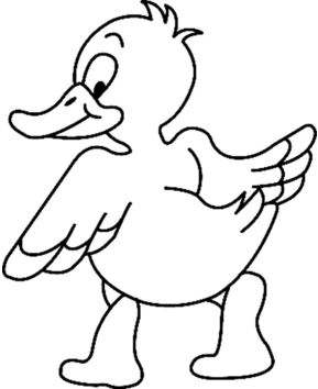 Canard 12 - 10doigts.fr