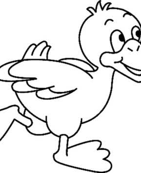 Canard 13 - 10doigts.fr