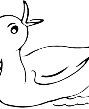 Canard 22 - 10doigts.fr