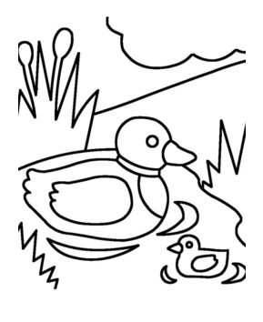 Canard 23 - 10doigts.fr