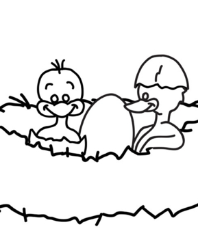 Canard 24 - 10doigts.fr