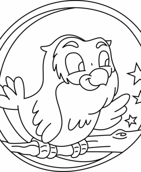 Chouette 01 - 10doigts.fr