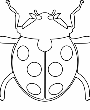 Coccinelle 06 - 10doigts.fr