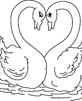 Cygne 01 - 10doigts.fr